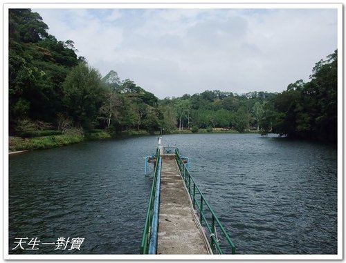 山中秘境後慈湖 @天生寶家族 @天生寶家族
