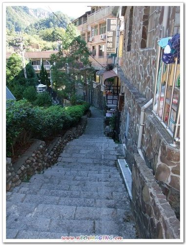 谷關泉緣逍遙行 @天生寶家族  @天生寶家族