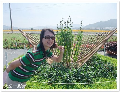  @天生寶家族