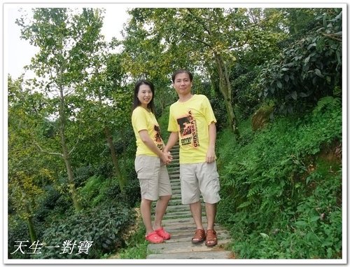 武岫農場賞銀杏 @天生寶家族 @天生寶家族