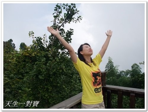 武岫農場賞銀杏 @天生寶家族 @天生寶家族