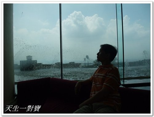  @天生寶家族