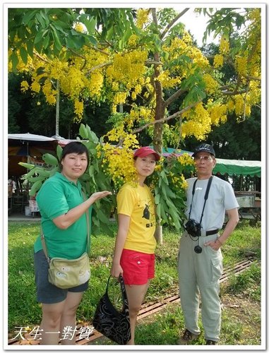 南投輕鬆一日遊 @天生寶家族 @天生寶家族