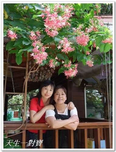 大愛屋會小青蛙 @天生寶家族 @天生寶家族