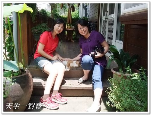 大愛屋會小青蛙 @天生寶家族 @天生寶家族