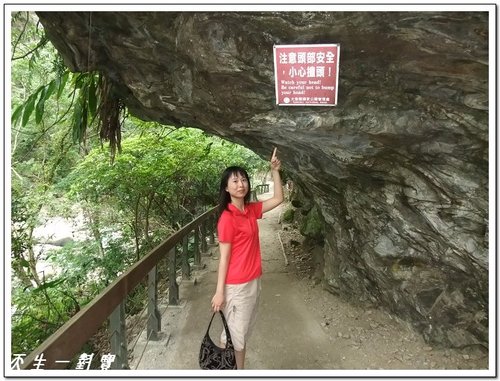 漫遊砂卡礑步道 @天生寶家族 @天生寶家族