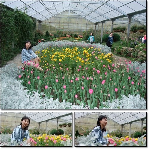  @天生寶家族