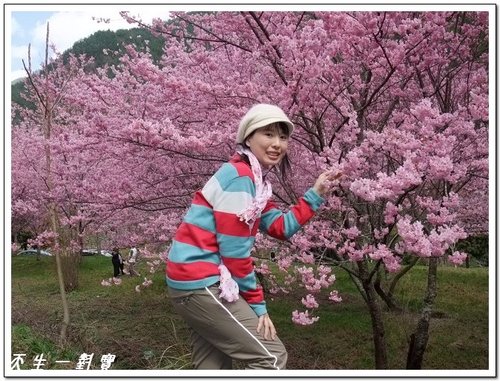  @天生寶家族