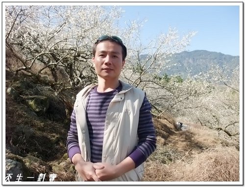 張家堡森林梅園 @天生寶家族 @天生寶家族