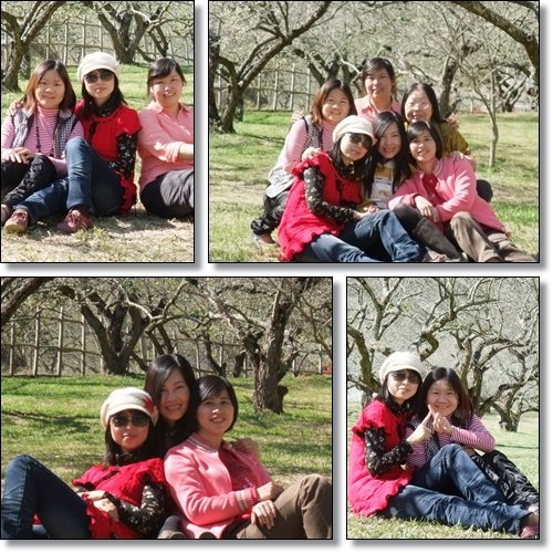 柳家梅園會真情 @天生寶家族 @天生寶家族