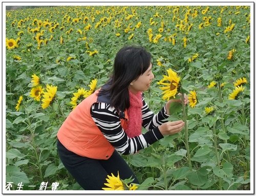 苗栗花之饗宴 @天生寶家族  @天生寶家族