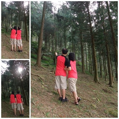 南投惠蓀林場 @天生寶家族 @天生寶家族