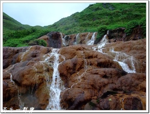 @天生寶家族