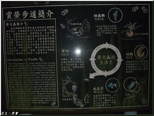  @天生寶家族
