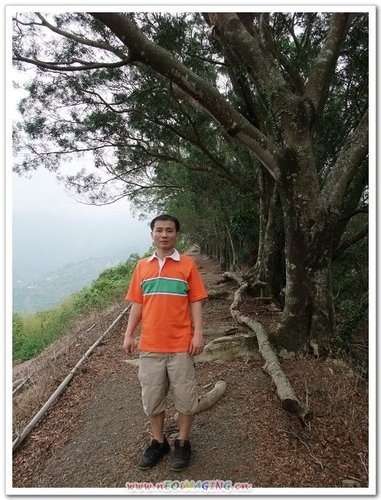 六龜戰備道,六龜景點推薦,六龜浦來溪頭古道,寶來浦來溪社頭戰道,寶來溪,寶來登山步道,新威森林公園,浦來溪社頭戰道,浦來溪社頭戰道位置,竹林休閒農業區,美輪山步道