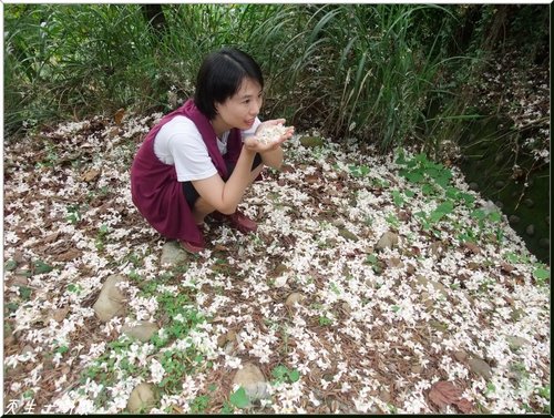 桐言桐語桐樂趣 @天生寶家族 @天生寶家族