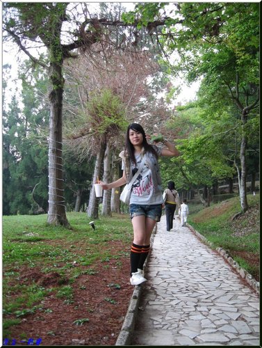 清境小瑞士花園 @天生寶家族  @天生寶家族