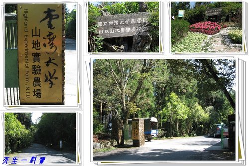 清境–台大梅峰農場 @天生寶家族  @天生寶家族