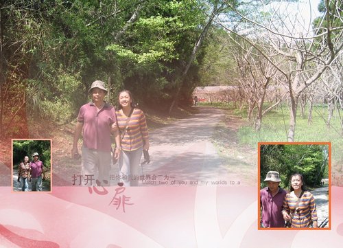 桃花緣會Rachel @天生寶家族 @天生寶家族