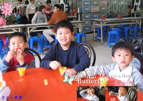 綠盈牧場牛轉乾坤 @天生寶家族 @天生寶家族