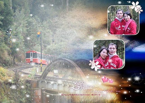 下雪,嘉義,小火車,巴士,接駁巴士,接駁車,櫻花,櫻花花況,火車站,門票,阿里山,阿里山森林遊樂區 下雪,嘉義,小火車,巴士,接駁巴士,接駁車,櫻花,櫻花花況,火車站,門票,阿里山,阿里山森林遊樂區