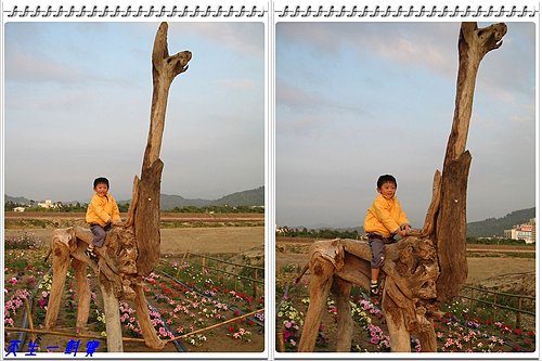 南投沙雕藝術節 @天生寶家族 @天生寶家族