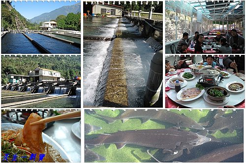 南投東埔逍遙遊 @天生寶家族 @天生寶家族