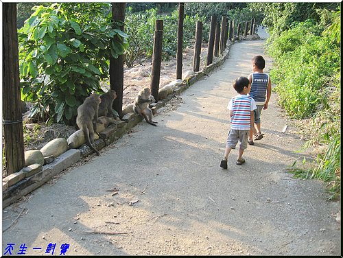 二水坑內坑森林步道,二水小吃,二水景點,二水火車站,二水火車站到松柏嶺,二水看猴子,二水美食,二水豐柏廣場,台北組魷魚粳,台灣手套博物館,台灣獼猴,坑內坑森林步道,廟前坑森林步道,彰化二水鄉松柏嶺步道,彰化台灣獼猴,彰化松柏嶺受天宮,松柏嶺天空步道,松柏嶺步道,松柏嶺猴子,田中二水景點,田中松柏嶺,登廟步道,茶香步道,豐柏健行步道,豐柏廣場,豐柏廣場地址,豐柏步道,豐柏生態步道,豐柏登山步道,豐柏觀光健行步道,集集火車