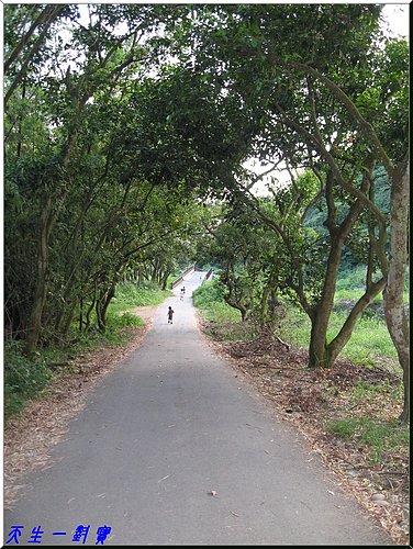 二水坑內坑森林步道,二水小吃,二水景點,二水火車站,二水火車站到松柏嶺,二水看猴子,二水美食,二水豐柏廣場,台北組魷魚粳,台灣手套博物館,台灣獼猴,坑內坑森林步道,廟前坑森林步道,彰化二水鄉松柏嶺步道,彰化台灣獼猴,彰化松柏嶺受天宮,松柏嶺天空步道,松柏嶺步道,松柏嶺猴子,田中二水景點,田中松柏嶺,登廟步道,茶香步道,豐柏健行步道,豐柏廣場,豐柏廣場地址,豐柏步道,豐柏生態步道,豐柏登山步道,豐柏觀光健行步道,集集火車