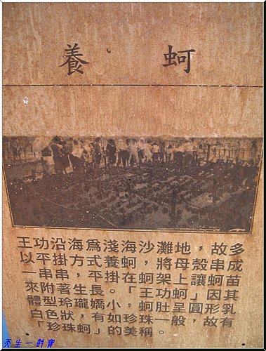 彰化,景點,王功,美食