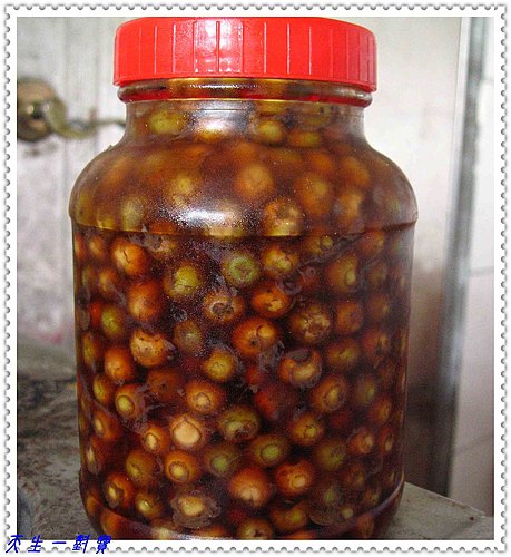 破布子食譜料理DIY 破布子食譜料理DIY