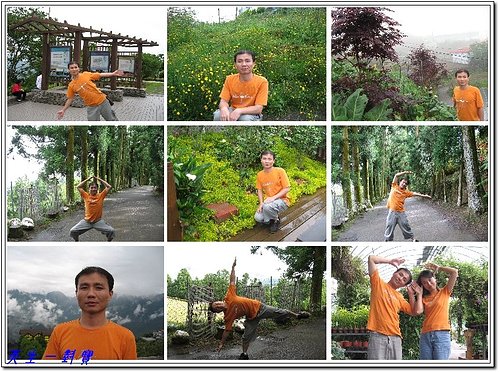 合歡山 — 與杜鵑有約 @天生寶家族 @天生寶家族