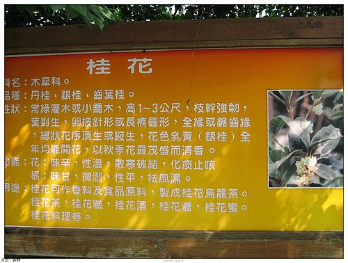  @天生寶家族