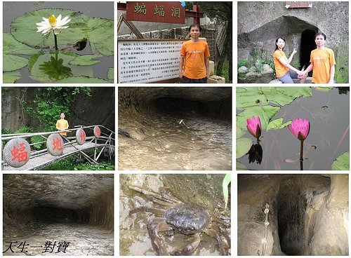 @天生寶家族