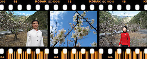 台東-南橫之旅 @天生寶家族 @天生寶家族