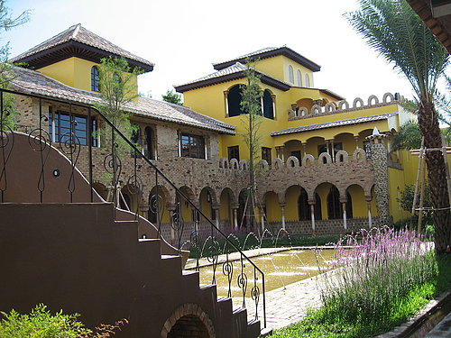 斗六-鹿谷 @天生寶家族 @天生寶家族