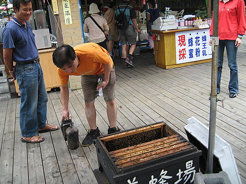  @天生寶家族
