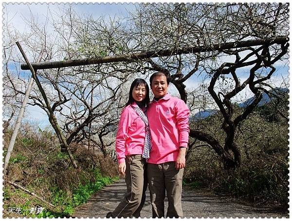 DSCF7923.jpg DSCF7923.jpg