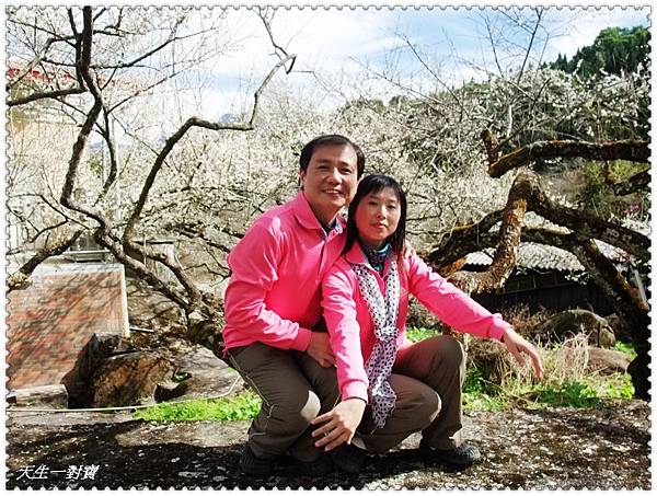 DSCF7926.jpg DSCF7926.jpg