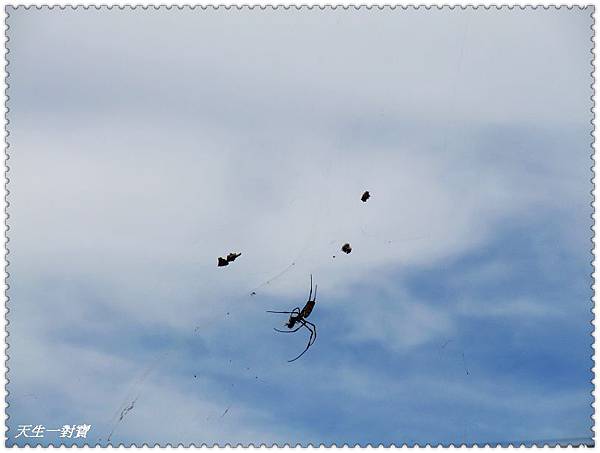 DSCF7976.jpg DSCF7976.jpg