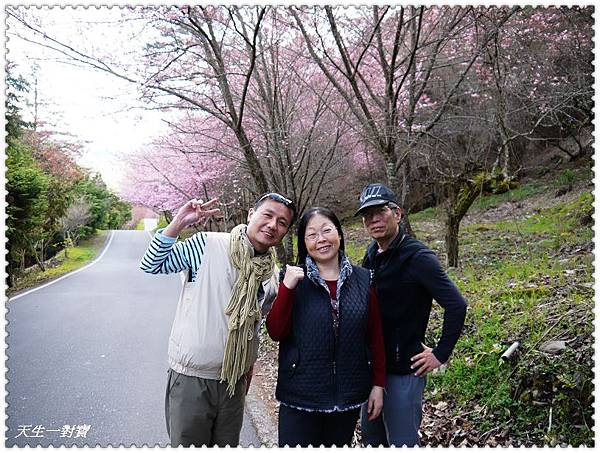 P1020238.jpg P1020238.jpg