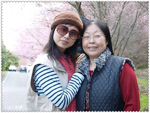 P1020241.jpg P1020241.jpg