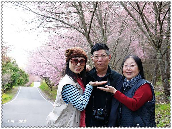 P1020245.jpg P1020245.jpg