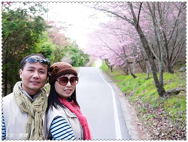 P1020247.jpg P1020247.jpg