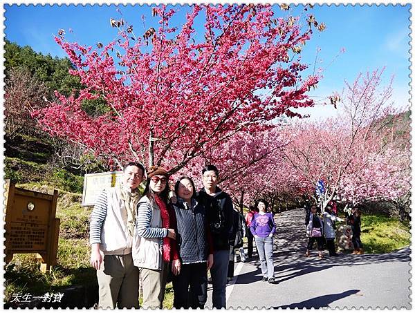 P1020266.jpg P1020266.jpg