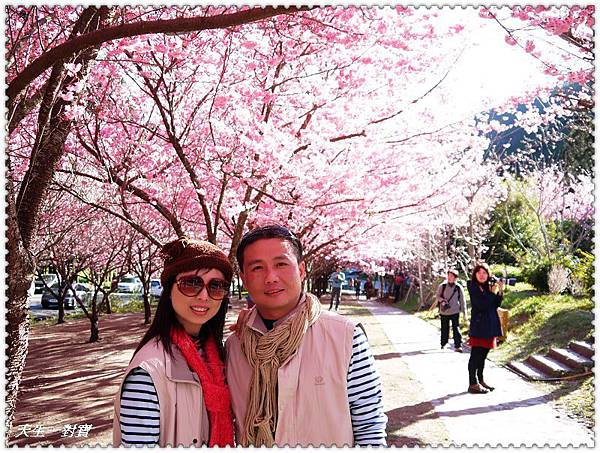 P1020325.jpg P1020325.jpg