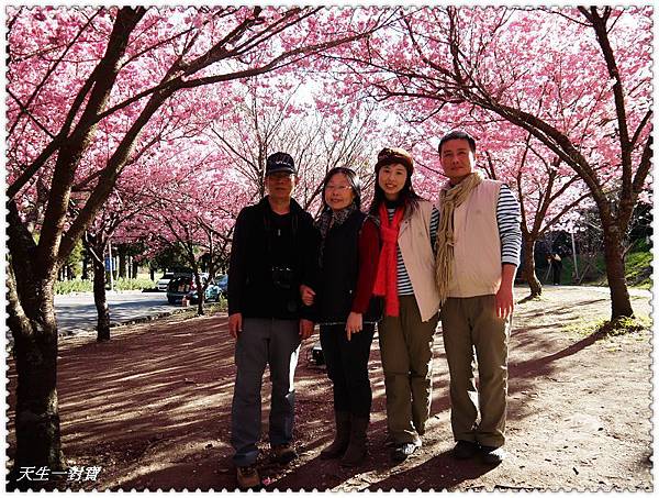 P1020331.jpg P1020331.jpg