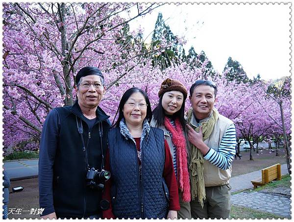 P1020363.jpg P1020363.jpg