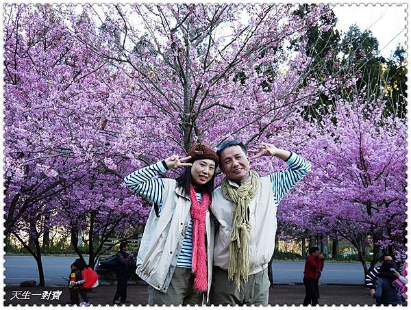 P1020365.jpg P1020365.jpg