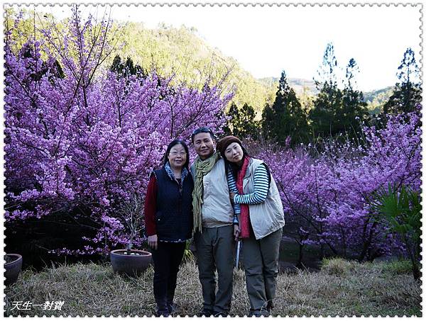 P1020371.jpg P1020371.jpg